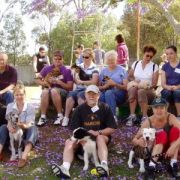 at sunday puppy school 2