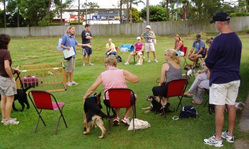 at sunday puppy school 4