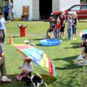 at sunday puppy school 32