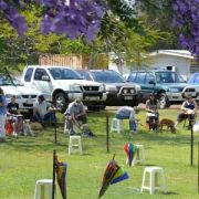 at sunday puppy school 5