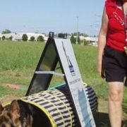 at sunday puppy school 19